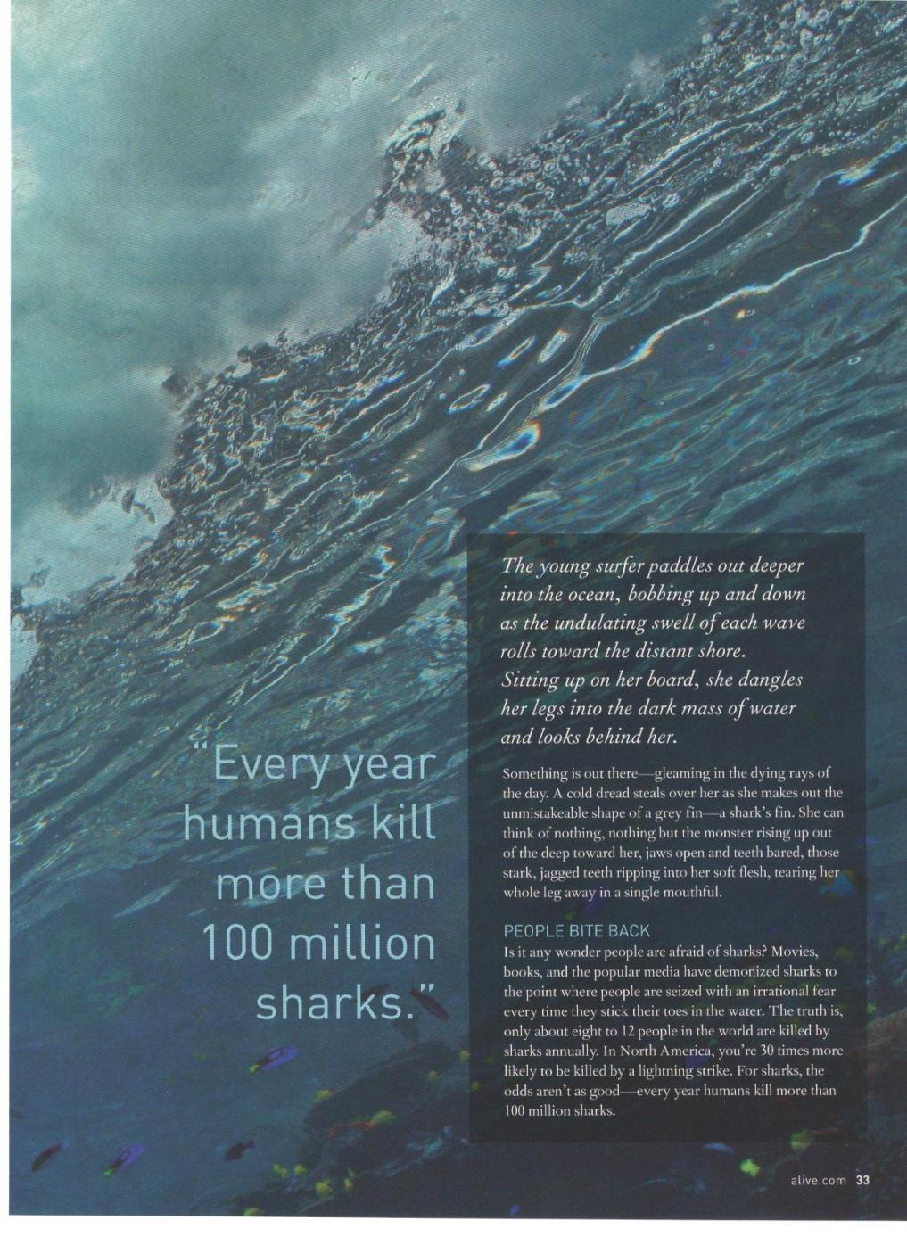 Shark article 2